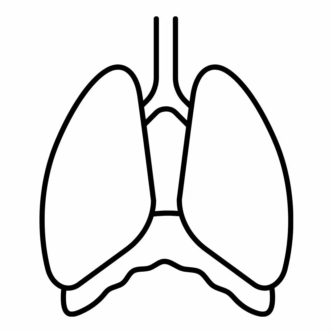 Mediastinoscopia