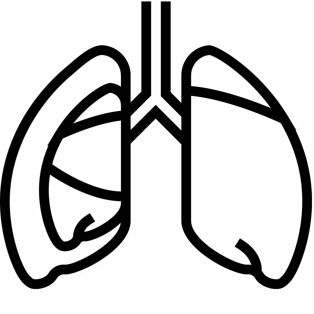 Tratamento do Pneumotórax, Bolhas e Blebs Pulmonares