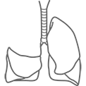 Lobectomia