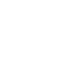 Lobectomia